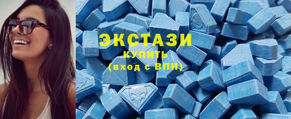 дживик Верхний Тагил