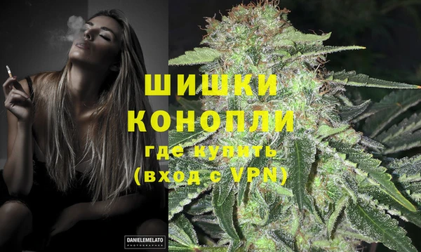 apvp Верея