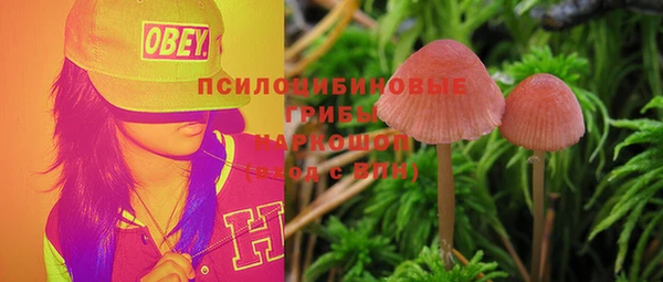 дживик Верхний Тагил