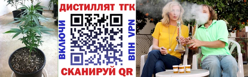 ОМГ ОМГ как войти  Зеленокумск  ТГК концентрат 