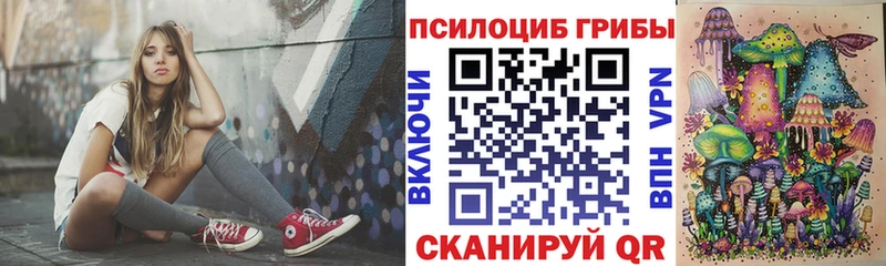 где можно купить   Зеленокумск  Галлюциногенные грибы мицелий 